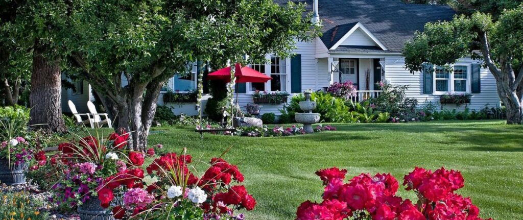 cozy rose inn