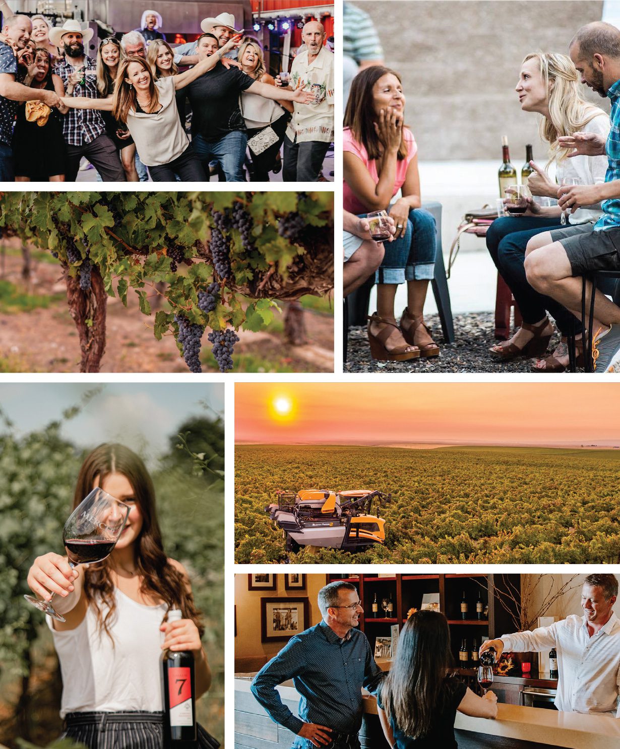 prosser wine colleage