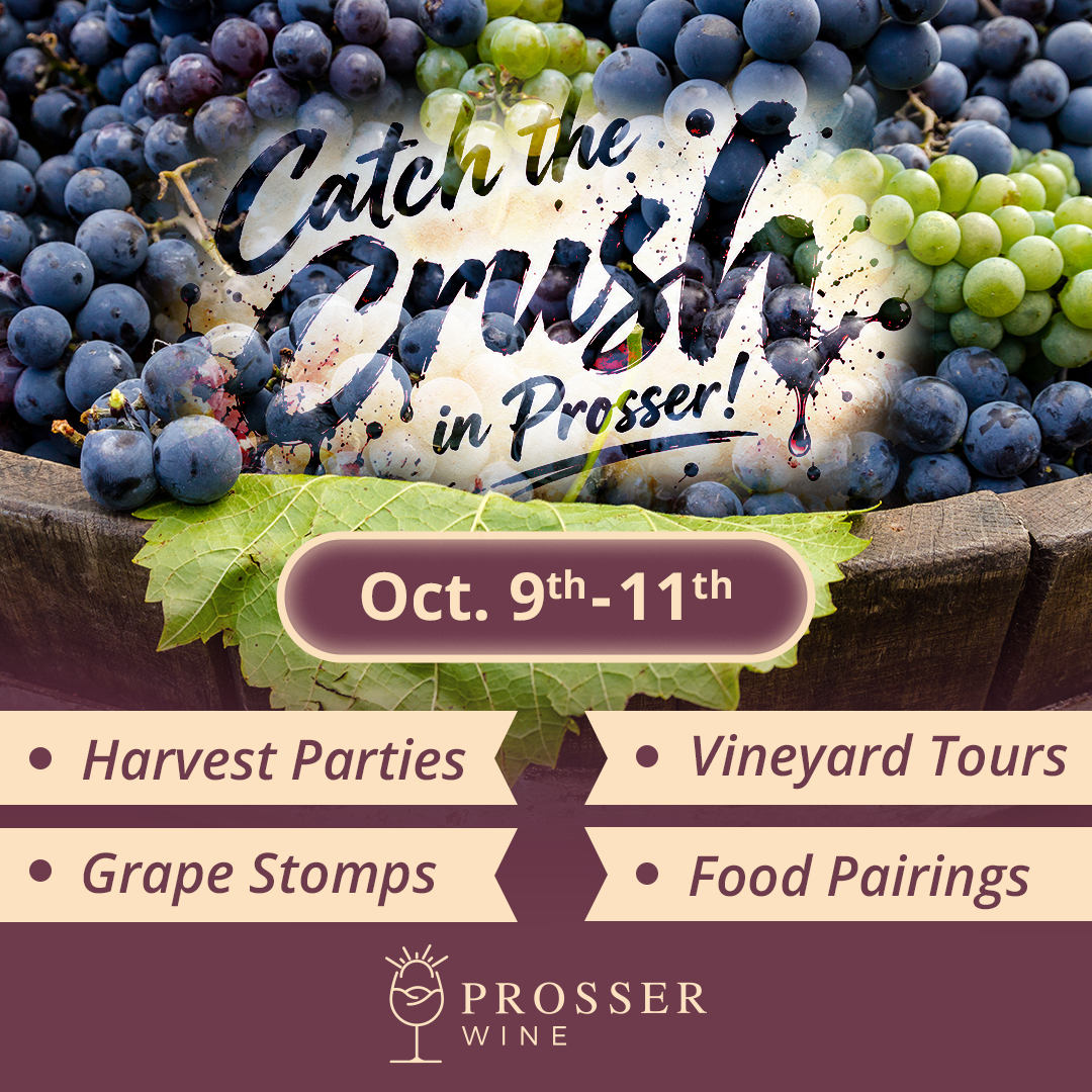 Catch the Crush wine harvest festival poster in Prosser