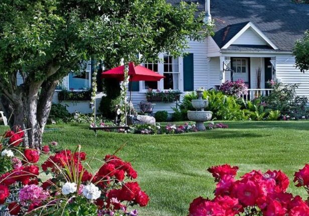 cozy rose inn